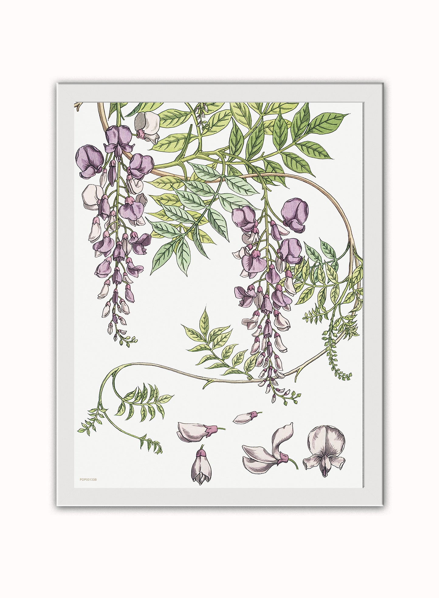 Wisteria by Maurice Pillard Verneuil Vintage Poster Print – Maurice Pillard Vereuil Poster Vintage Poster Wall Art 30x40cm White Frame