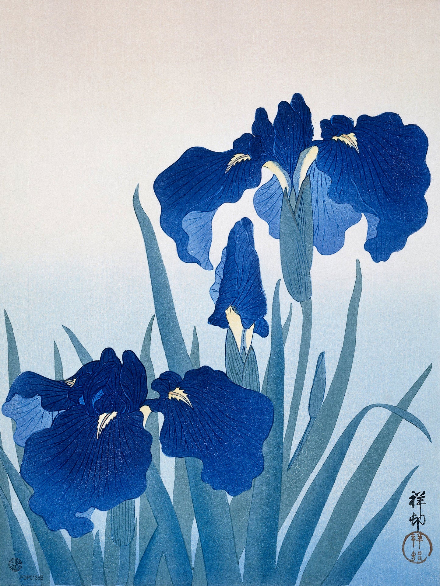 Iris Flowers by Ohara Koson Japenese Poster Art Print 30x40cm