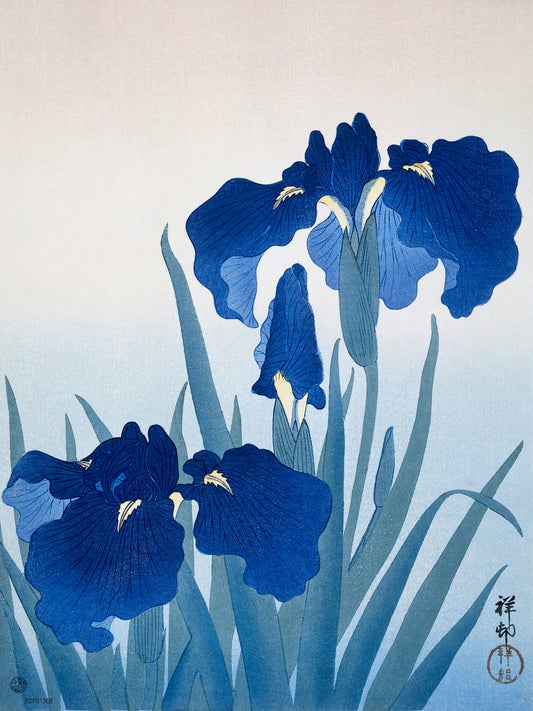 Iris Flowers by Ohara Koson Japenese Poster Art Print 30x40cm