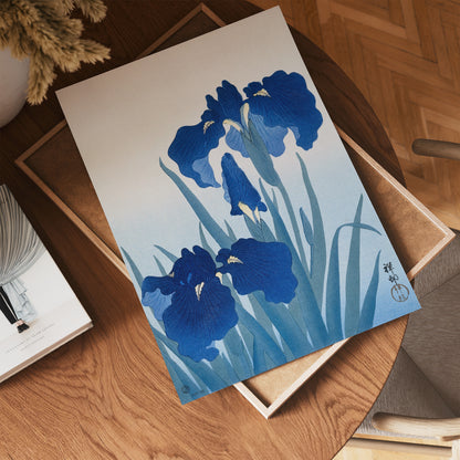 Iris Flowers by Ohara Koson Japenese Poster Art Print 30x40cm