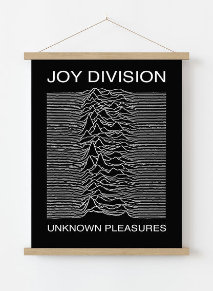 Joy Divison Unknown Pleasues Regular Poster (61x91.5cm)