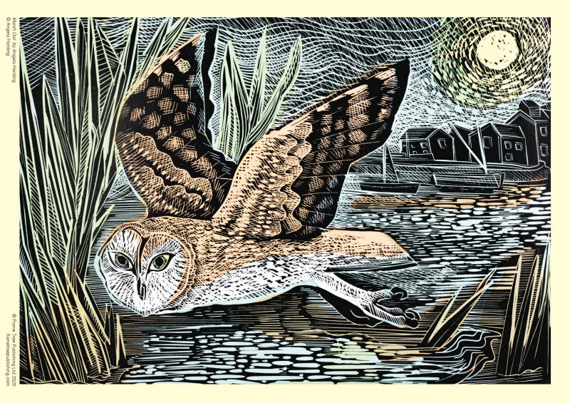 Adult 1000 Piece Jigsaw Puzzle Angela Harding: Marsh Owl