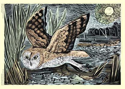 Adult 1000 Piece Jigsaw Puzzle Angela Harding: Marsh Owl