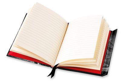 Alchemy: Poe’s Raven (Foiled Journal) Lined A5 Notepad