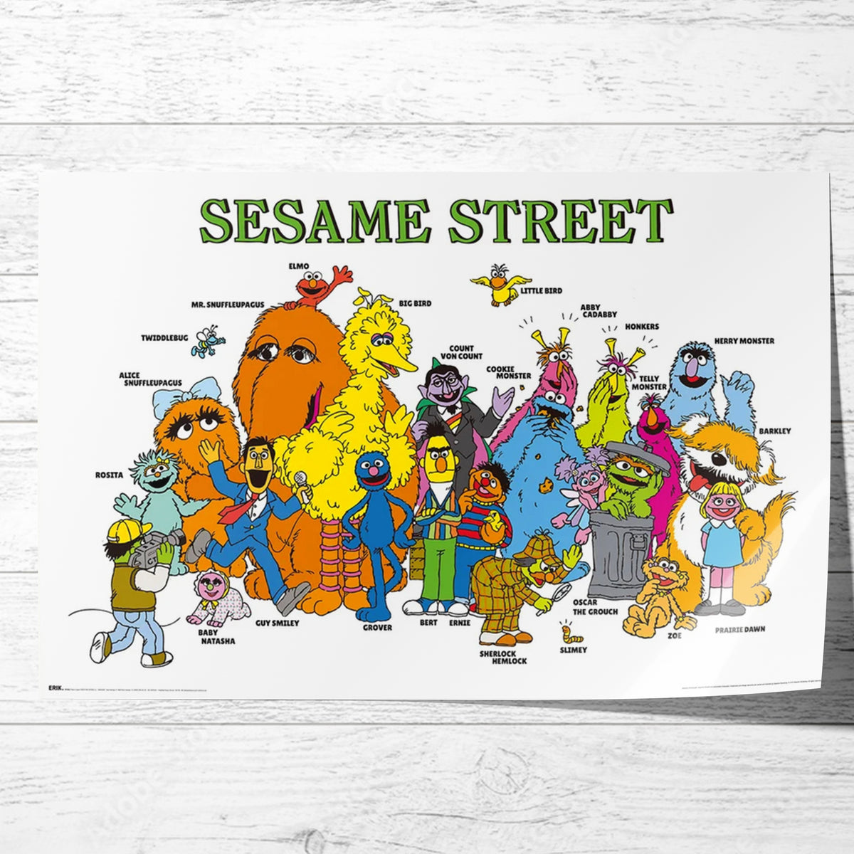 Sesame Street Characters 61 x 91.5cm Poster
