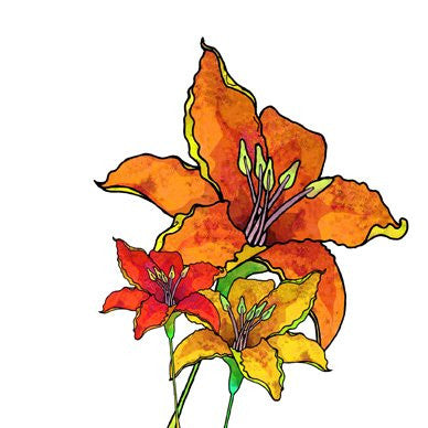 Lilium Bulbiferum Greetings Card 14x14cm (blank inside) - On the Wall Art Print Posters & Gifts