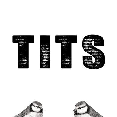 Tits Greetings card (Blank Inside) - On the Wall Art Print Posters & Gifts