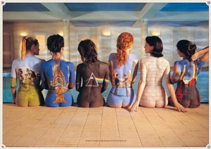 Pink Floyd back catalouge Regular Poster (61x91.5cm)