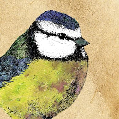 Blue Tit Greetings Card 14x14cm (blank inside) - On the Wall Art Print Posters & Gifts