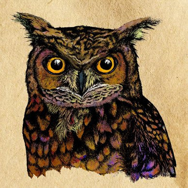 Great Horned Owl Greetings Card 14x14cm (blank inside) - On the Wall Art Print Posters & Gifts