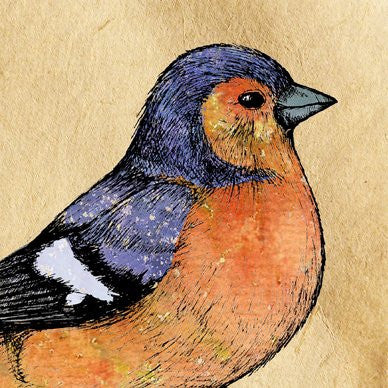 Chaffinch Greetings Card 14x14cm (blank inside) - On the Wall Art Print Posters & Gifts