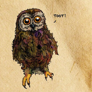 Little Owl - "Toot!" Greetings Card 14x14cm (blank inside) - On the Wall Art Print Posters & Gifts