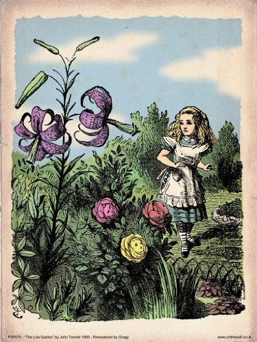 Alice in Wonderland Flower Garden Vintage Art Print Poster 40x30cm