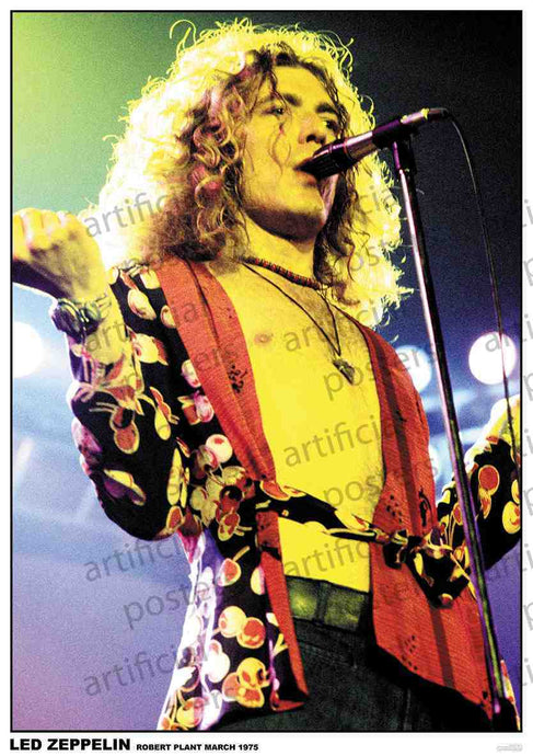 Robert Plant, Led Zeplin (A1 59.5x84cm) Poster
