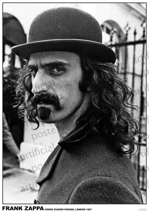 Frank Zappa (A1 59.5x84cm) Poster