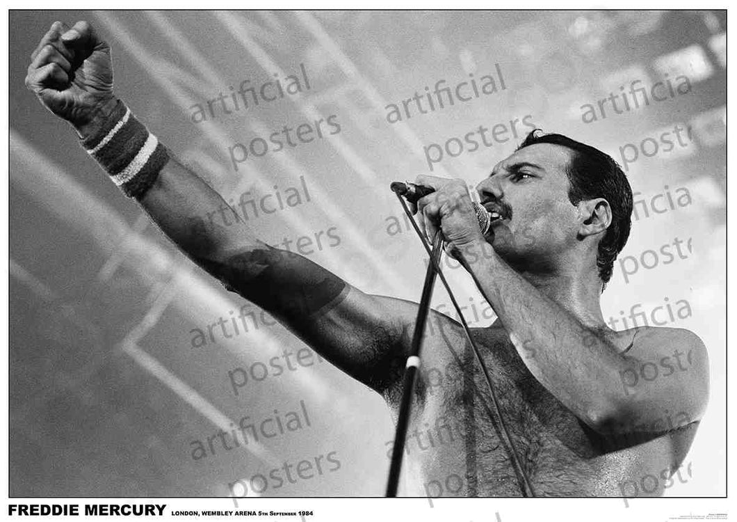 Freddie Mecury Live (A1 59.5x84cm) Poster