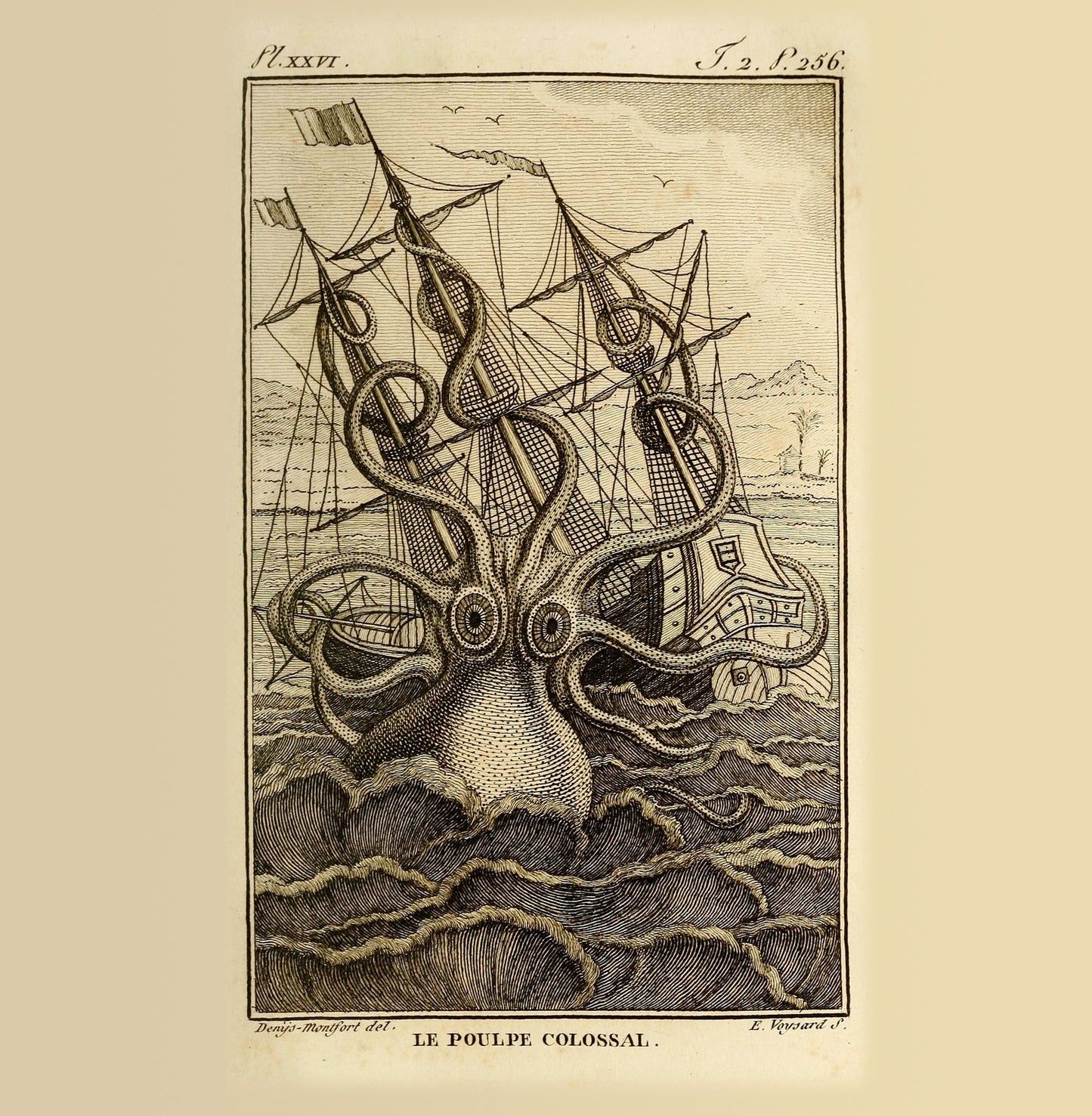 Kraken Natural History 14x14cm Greetings card (Blank Inside)