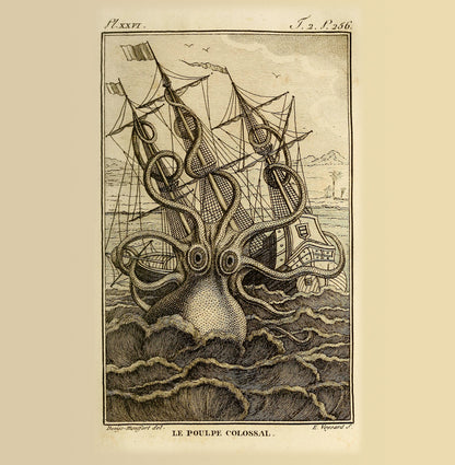 Kraken Natural History 14x14cm Greetings card (Blank Inside)