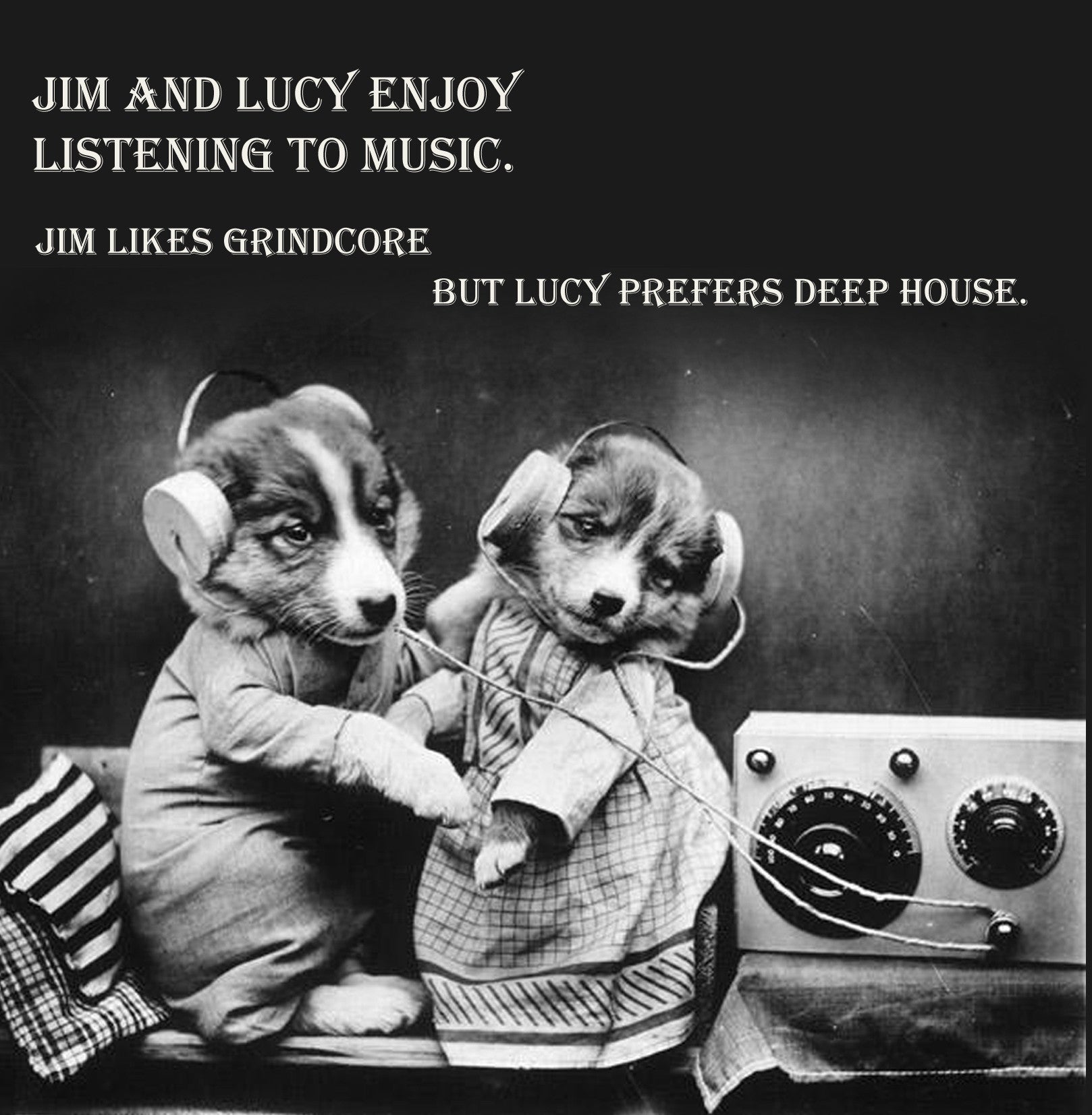 Puppy Music Tastes Vinatge Comedy 14x14cm Greetings card (Blank Inside)
