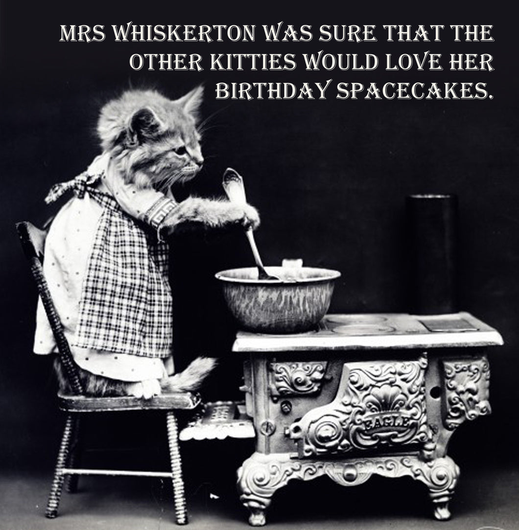 Spacecake Cat Vinatge Comedy 14x14cm Greetings card (Blank Inside)