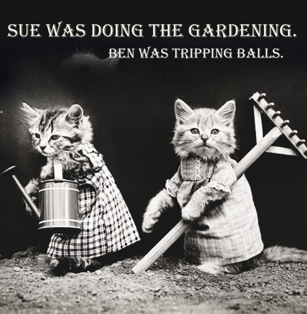 Gardening Trippy Cat Vinatge Comedy 14x14cm Greetings card (Blank Inside)