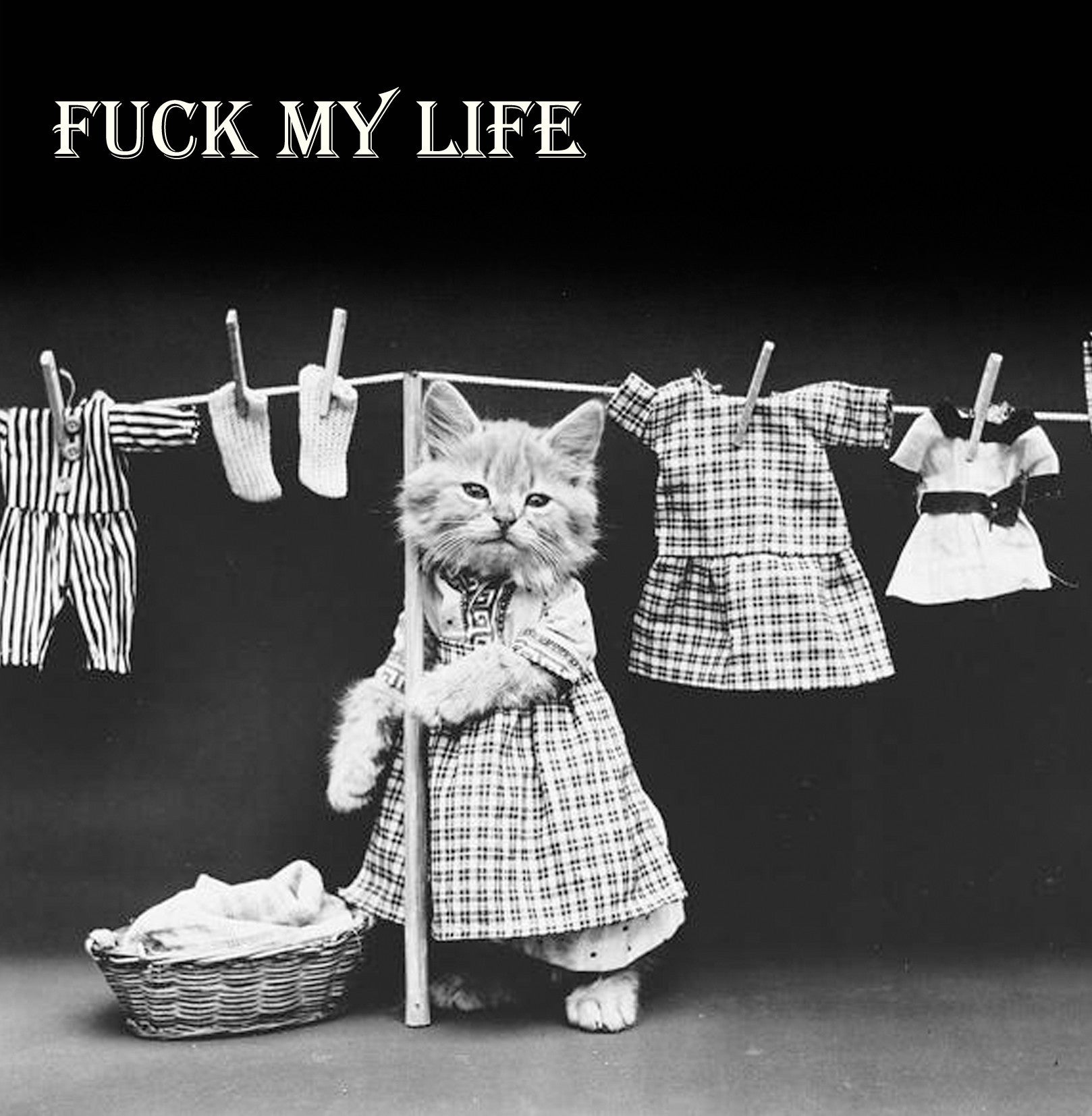Fuck my Life Vinatge Comedy 14x14cm Greetings card (Blank Inside)