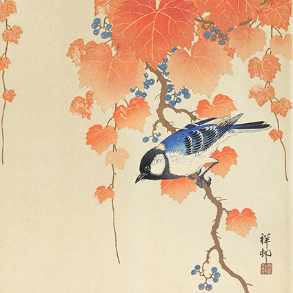 Great Tit on Paulovnia branch by Ohara Koson 14x14cm Greetings Card 