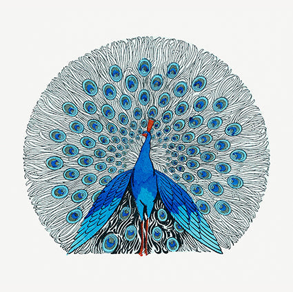 Blue Peacock 14x14cm Greetings Card 