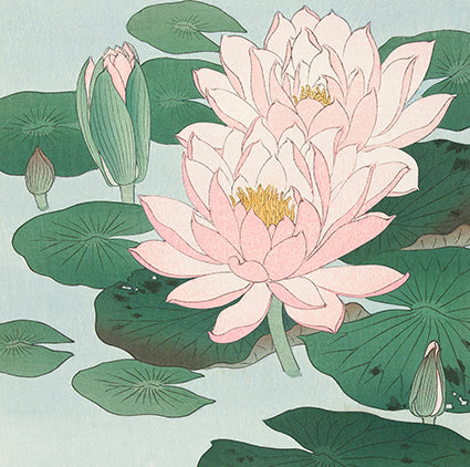 Water Lily by Ohara Koson 14x14cm Greetings Card 