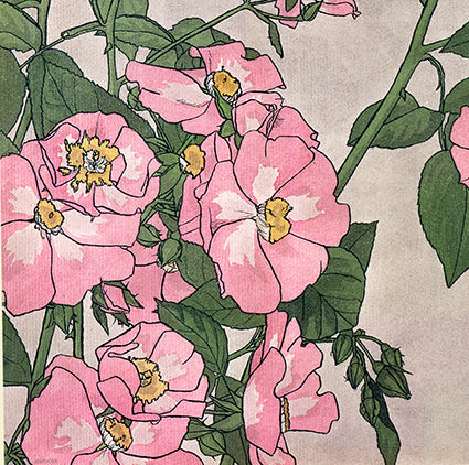 Prairie Rose (1915) by Hannah Borger Overbeck Botanical 14x14cm Greetings Card 