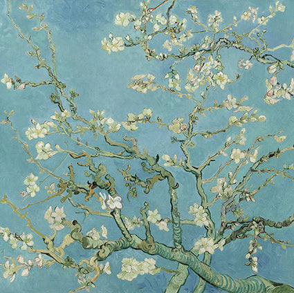 Almond Blossom by Van Gogh 14x14cm Greetings Card  