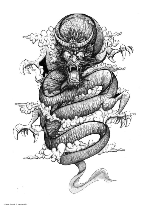 Dragon by Stephen Shaw 50x70cm Art Print 