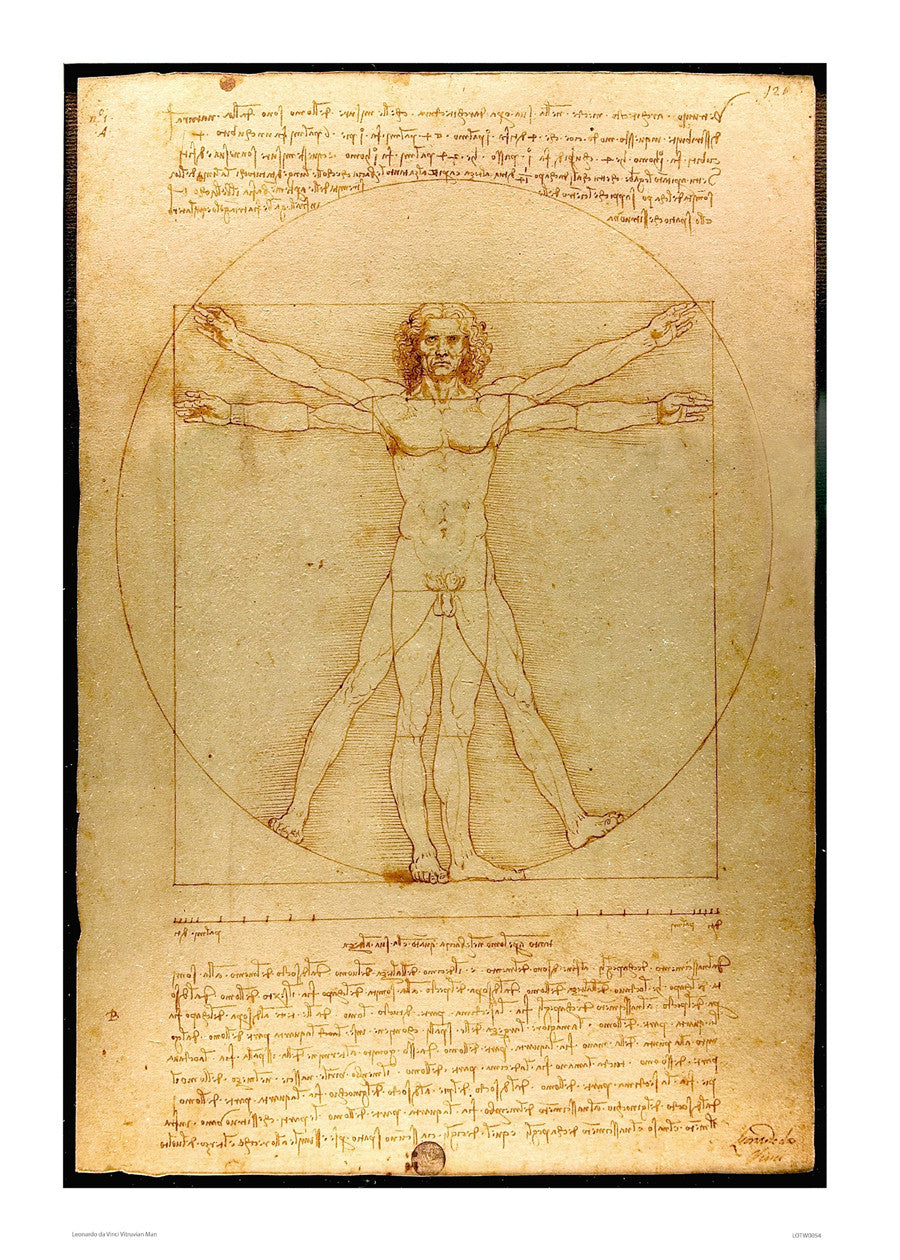 Leonardo Da Vinci Vitruvian man, art history, anatomical study, classic Art Print Poster 50x70cm
