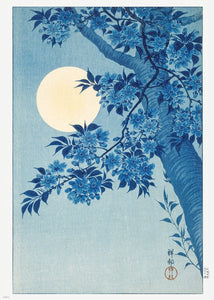 Japanese Art Print 50x70cm: Blossoming Cherry on a Moonlit Night (ca. 1932) by Ohara Koson