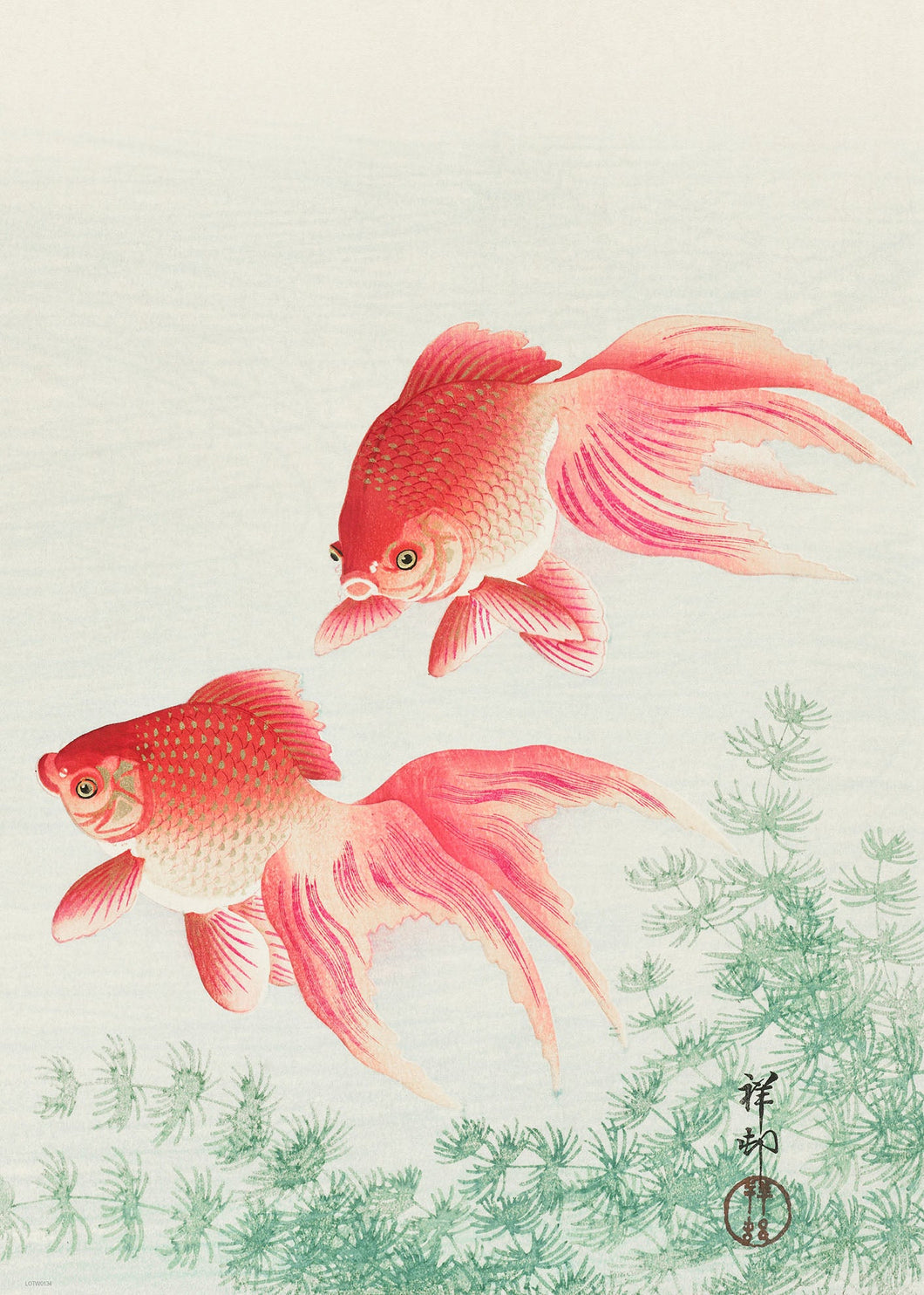 Japanese Art Print 50x70cm: Two veil goldfish (1926) by Ohara Koson (1877-1945). Original from The Rijksmuseum