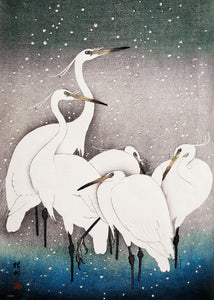 Japanese Art Print 50x70cm: Group of Egrets (1925 - 1936) by Ohara Koson 
