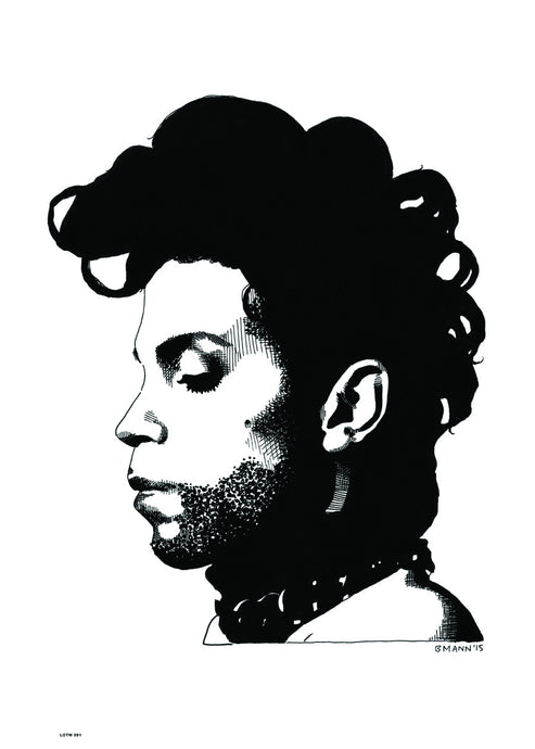 Prince, Music Idol Iconic Popstar Art Print Poster 50x70cm