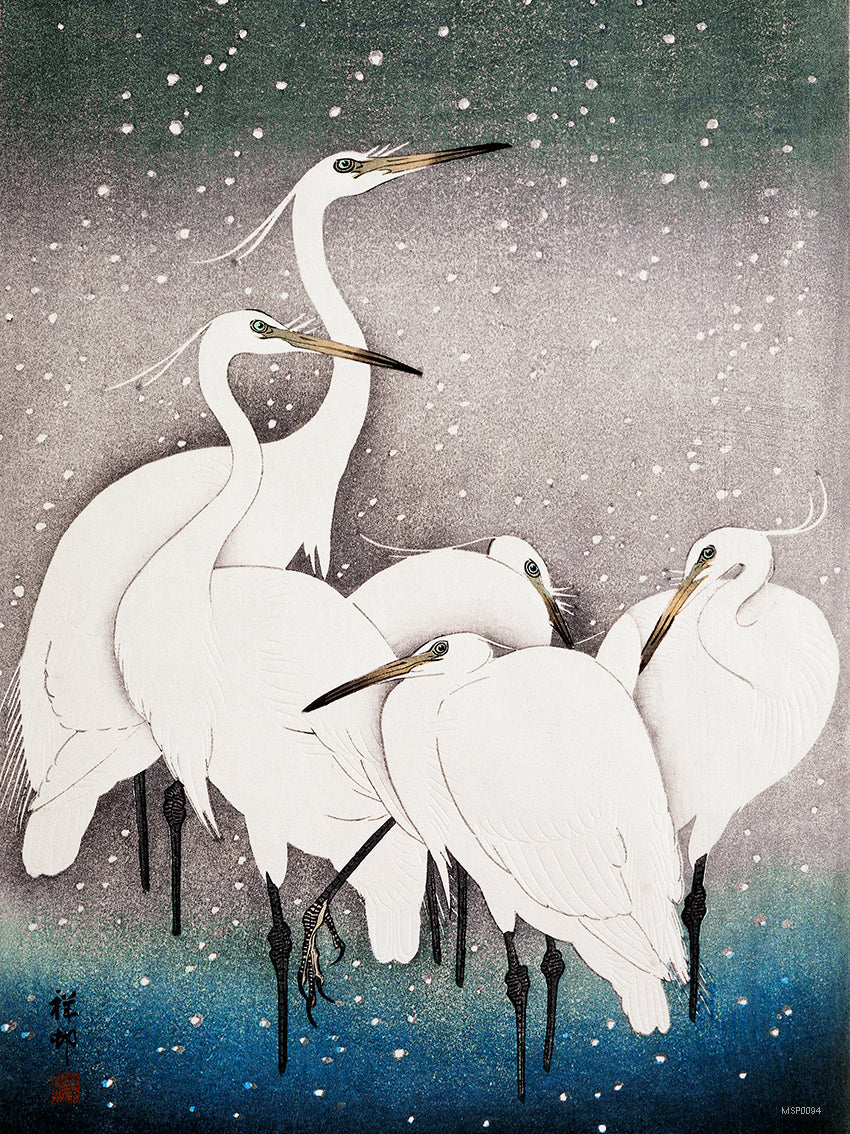 Japanese Art Print 30x40cm: Group of Egrets (1925 - 1936) by Ohara Koson
