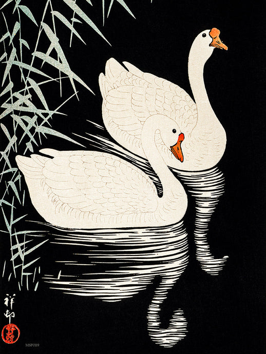 Swans Refelicting on the river by Ohara Koson 1900 - 1945 Japenese Poster Art Print 30x40cm