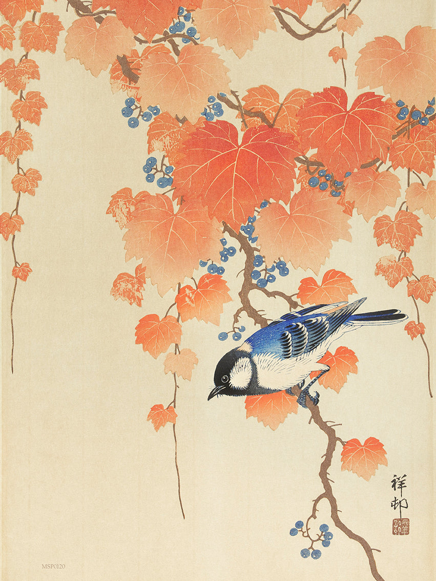 Great Tit on Paulownia Beach by Ohara Koson 1900 - 1945 Japenese Poster Art Print 30x40cm