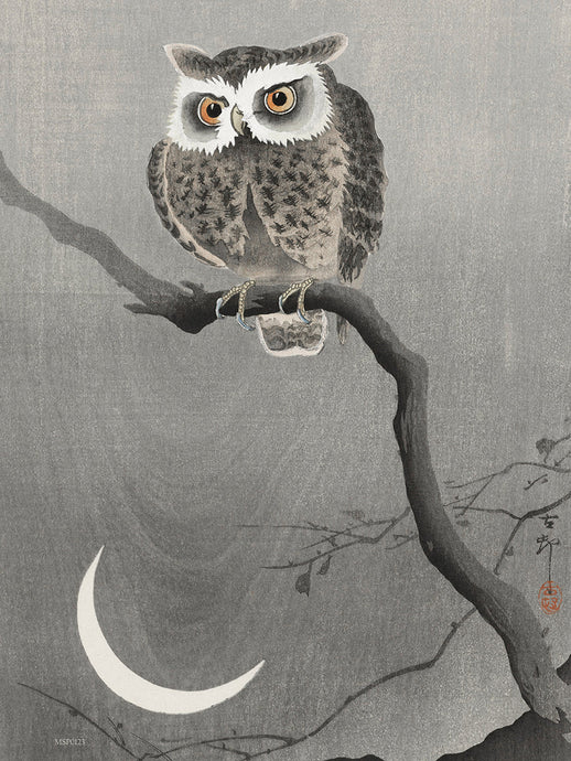 Owl Moon by Ohara Koson 1900 - 1945 Japenese Poster Art Print 30x40cm