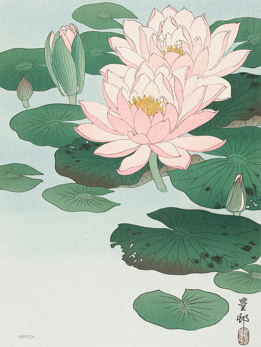 Water Lily by Ohara Koson 1900 - 1945 Japenese Poster Art Print 30x40cm