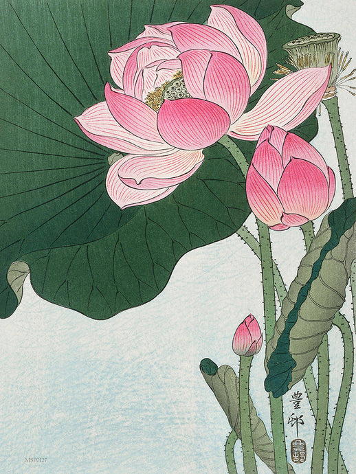 Flowering Lotus by Ohara Koson 1900 - 1945 Japenese Poster Art Print 30x40cm