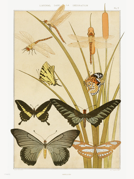 Botanical 30x40cm Art Print Papillons from animal dans la d�?coration (1897) illustrated by Maurice Pillard Verneuil.