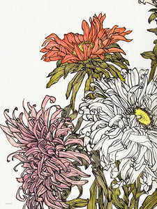 Botanical Art Print 30x40cm Chrysanthemums by Julie de Graag