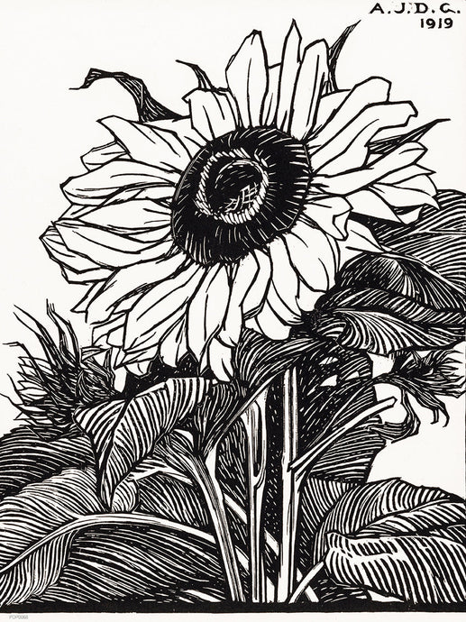 Botanical Art Print 30x40cm Sunflower (1919) by Julie de Graag