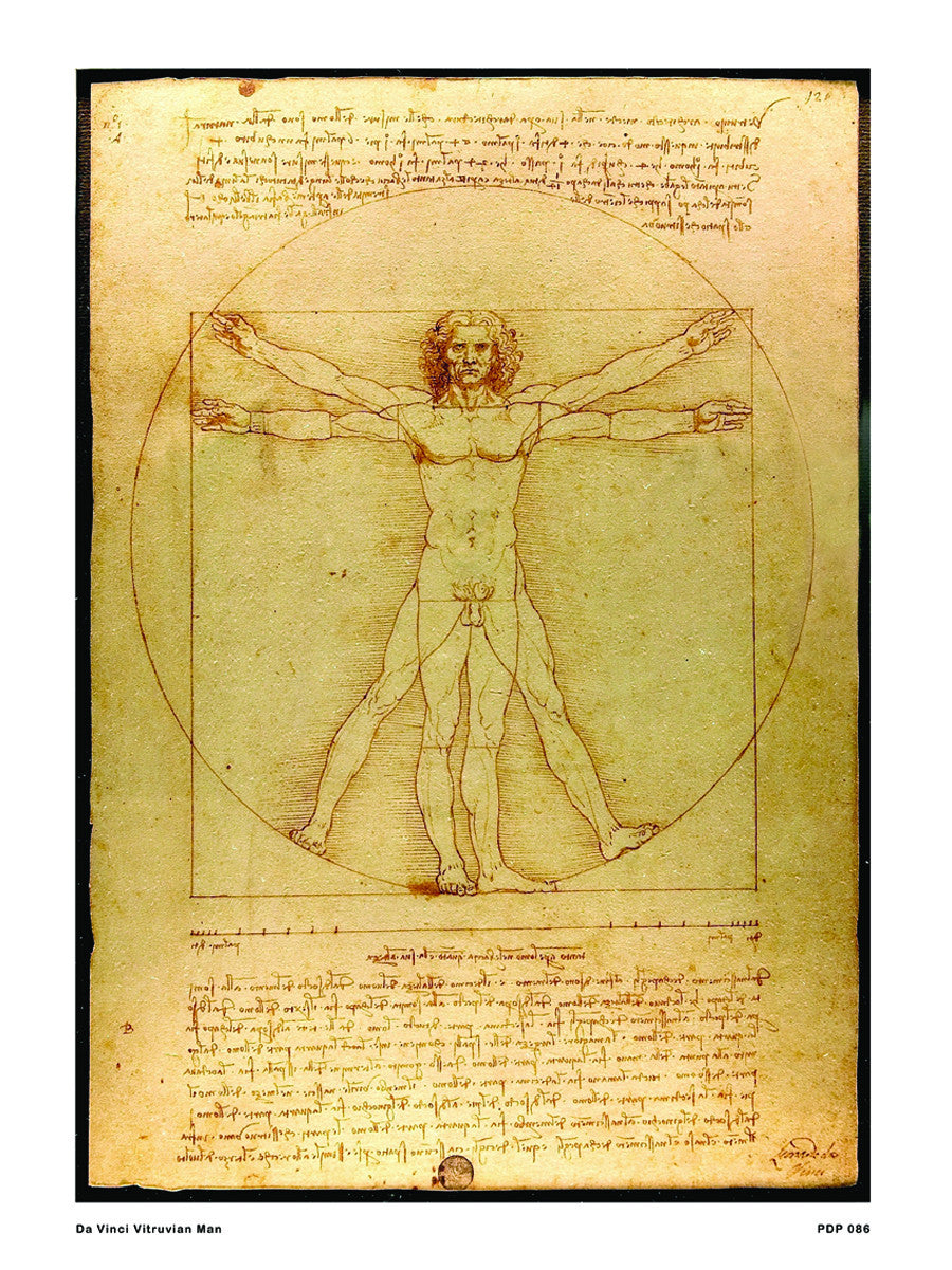 Da Vinci Vitruvian Man 30x40cm Art Poster Print