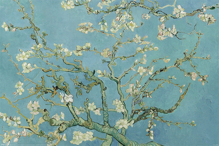 Van Gogh (Almond Blossom) Poster 61x91.cm