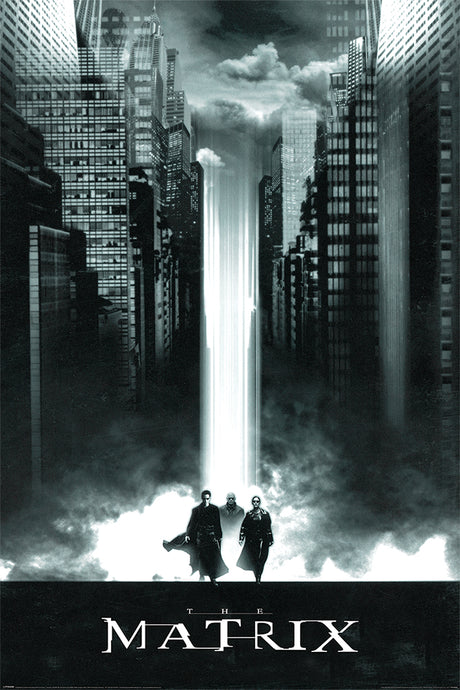 The Matrix 61x91.5cm Poster