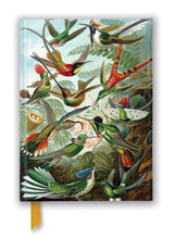 Load image into Gallery viewer, Ernst Haeckel: Hummingbirds Foiled Lined A5 Notepad
